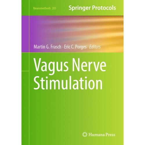Springer US Vagus Nerve Stimulation