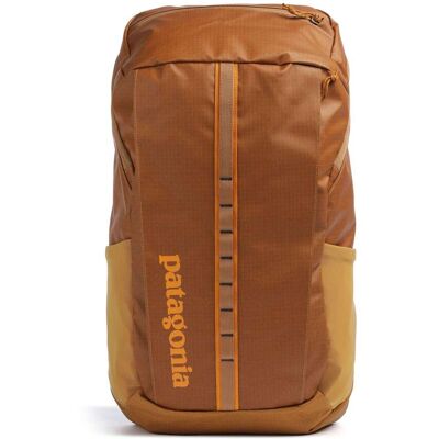 Patagonia Black Hole 25 Rucksack, gelb Patagonia Black Hole 25 Rucksack, gelb