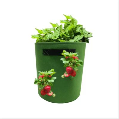 INF Filz Garten Gemüse Pflanze Anzuchtbeutel M INF Filz Garten Gemüse Pflanze Anzuchtbeutel M