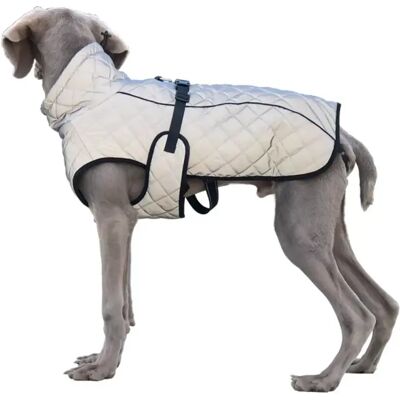 INF Reflektierender Hundemantel: Gut sichtbare, winddichte & warme Jacke für mittelgroße & große Hunde M INF Reflektierender Hundemantel: Gut sichtbare, winddichte & warme Jacke für mittelgroße & große Hunde M
