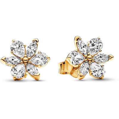 Pandora Damen Ohrstecker Moments Herbarium Cluster, vergoldet gold Pandora Damen Ohrstecker Moments Herbarium Cluster, vergoldet gold
