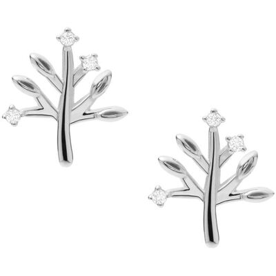 Fossil Tannenbaum Ohrstecker aus 925er Silber mit Zirkonia silber Fossil Tannenbaum Ohrstecker aus 925er Silber mit Zirkonia silber