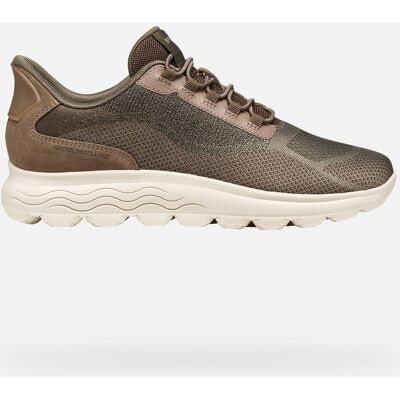 GEOX Schuhe Spherica Plus Dame Taube/dunkelbraun 36 Taube/dunkelbraun GEOX Schuhe Spherica Plus Dame Taube/dunkelbraun 36 Taube/dunkelbraun