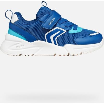 GEOX Schuhe Loftus Junge Königsblau/azurblau 35 Königsblau/azurblau GEOX Schuhe Loftus Junge Königsblau/azurblau 35 Königsblau/azurblau