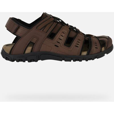 GEOX Schuhe Strada Herr Dunkelbraun 41 Dunkelbraun GEOX Schuhe Strada Herr Dunkelbraun 41 Dunkelbraun