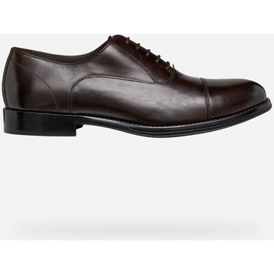 GEOX Schuhe Barberigo Herr Dunkelbraun 41,5 Dunkelbraun GEOX Schuhe Barberigo Herr Dunkelbraun 41,5 Dunkelbraun