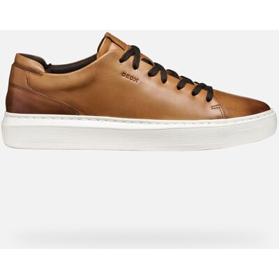 GEOX Schuhe Deiven Herr Hellbraun 42 Hellbraun GEOX Schuhe Deiven Herr Hellbraun 42 Hellbraun