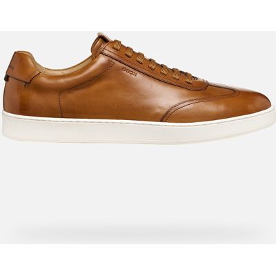 GEOX Schuhe Regio Herr Cognac 43 Cognac GEOX Schuhe Regio Herr Cognac 43 Cognac