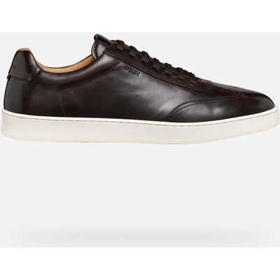 GEOX Schuhe Regio Herr Dunkelbraun 45 Dunkelbraun GEOX Schuhe Regio Herr Dunkelbraun 45 Dunkelbraun