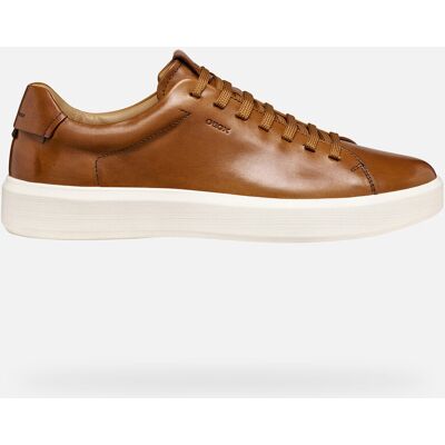 GEOX Schuhe Velletri Herr Cognac 39 Cognac GEOX Schuhe Velletri Herr Cognac 39 Cognac