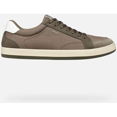 GEOX Schuhe Serifos Herr Taupe 43 Taupe GEOX Schuhe Serifos Herr Taupe 43 Taupe