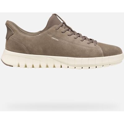 GEOX Schuhe Flextride Plus Herr Taube 46 Taube GEOX Schuhe Flextride Plus Herr Taube 46 Taube