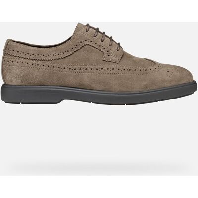 GEOX Schuhe Spherica Ec17 Herr Taube 44 Taube GEOX Schuhe Spherica Ec17 Herr Taube 44 Taube