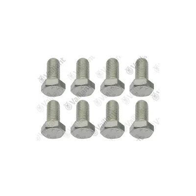 Vaillant Schraube 8 Stück 0020214431 Vaillant Schraube 8 Stück 0020214431