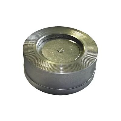 Buderus Reiche Rückschlagventil TCF-N DN100 PN6/10/16 Edelstahl Buderus Reiche Rückschlagventil TCF-N DN100 PN6/10/16 Edelstahl