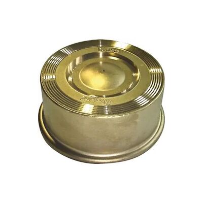 Buderus Reiche Rückschlagventil TCF-M DN65 PN6/10/16 Messing Buderus Reiche Rückschlagventil TCF-M DN65 PN6/10/16 Messing