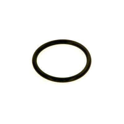 Bosch O-Ring 53,34 x 5,33 (14x) - 8738804665 Bosch O-Ring 53,34 x 5,33 (14x) - 8738804665