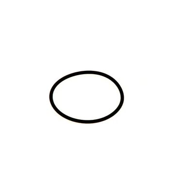 Buderus O-Ring 66,27x3,53mm (2x) - 7736603889 Buderus O-Ring 66,27x3,53mm (2x) - 7736603889