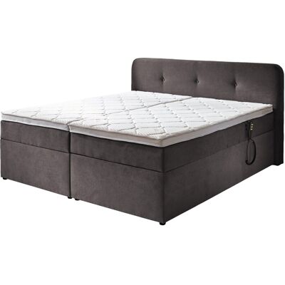 Massivart Boxbett 180 x 200 cm grau Bettkasten - elektrisch - GABRIOLA Massivart Boxbett 180 x 200 cm grau Bettkasten - elektrisch - GABRIOLA