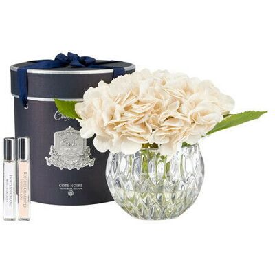 Côte Noire Hydrangeas Gift Set Côte Noire Hydrangeas Gift Set