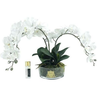 Côte Noire Orchidée Classique Gift Set Côte Noire Orchidée Classique Gift Set