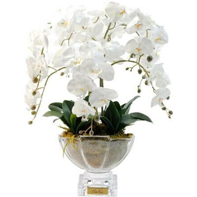 Côte Noire Orchidée Grandeur Gift Set Côte Noire Orchidée Grandeur Gift Set