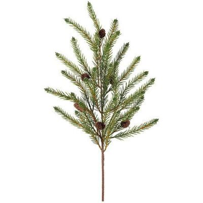 Newport August Spruce Twig Cones Newport August Spruce Twig Cones