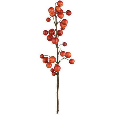 Newport Apfelzweig Schnittblume rot Newport Apfelzweig Schnittblume rot