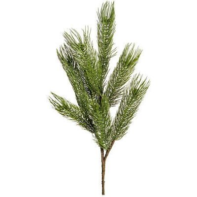 Newport Forrest Tannenzweig grün Newport Forrest Tannenzweig grün