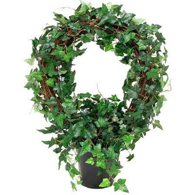 Newport Ivy Potted Plant Green Newport Ivy Potted Plant Green
