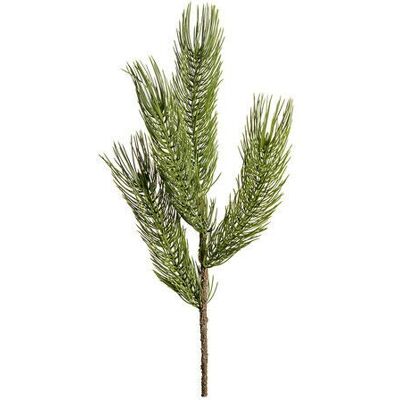 Newport Forrest Tannenzweig Schnittblume grün Newport Forrest Tannenzweig Schnittblume grün