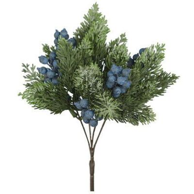 Newport Winterbeerenzweig mit blauen Beeren Newport Winterbeerenzweig mit blauen Beeren