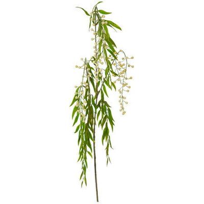Newport Berry Branch White Newport Berry Branch White