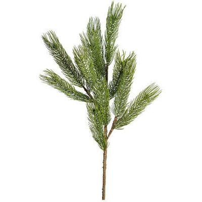 Newport Forrest Tannenzweig Schnittblume grün Newport Forrest Tannenzweig Schnittblume grün
