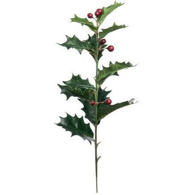 Newport Holly Stechpalme Schnittblume Newport Holly Stechpalme Schnittblume