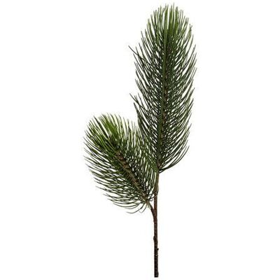 Newport Evan Pine Twig Green Newport Evan Pine Twig Green