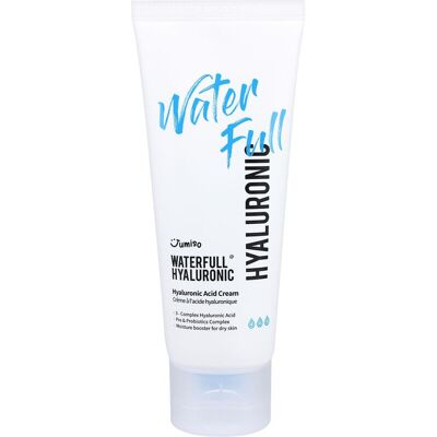 JUMISO Waterfull Hyaluronsäure-Creme 100 ml JUMISO Waterfull Hyaluronsäure-Creme 100 ml