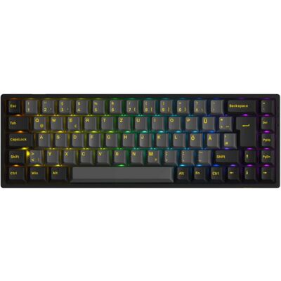 Akko 3068B Plus Tri-Mode mechanische Tastatur, 65 % ISO-DE Layout kabelloses Gaming-Keyboard mit V3 Pro Creme-Gelb-Switch, Tri-Mode Bluetooth/2,4 g/USB-C, Hot-Swappable RGB - Schwarz & Gold Akko 3068B Plus Tri-Mode mechanische Tastatur, 65 % ISO-DE Layout kabelloses Gaming-Keyboard mit V3 Pro Creme-Gelb-Switch, Tri-Mode Bluetooth/2,4 g/USB-C, Hot-Swappable RGB - Schwarz & Gold