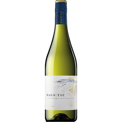 Miguel Torres magnetic blanco 0,75 L 2024 Miguel Torres magnetic blanco 0,75 L 2024