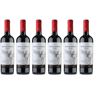Torres Icons Andica carmenere torres 6x0.75 L, 2023 Torres Icons Andica carmenere torres 6x0.75 L, 2023
