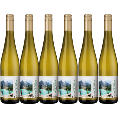 Fundstück gv reserve 6x0,75 L 2023 Fundstück gv reserve 6x0,75 L 2023