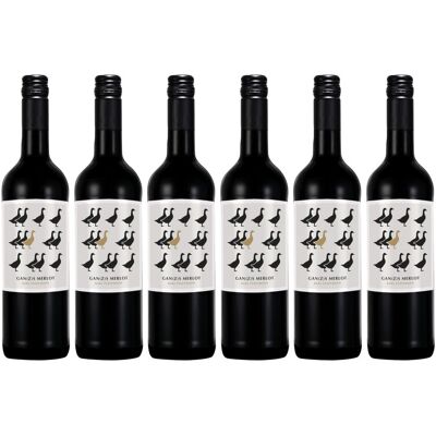Karl Pfaffmann Gans merlot pfaffmann 6x0,75 L 2023 Karl Pfaffmann Gans merlot pfaffmann 6x0,75 L 2023