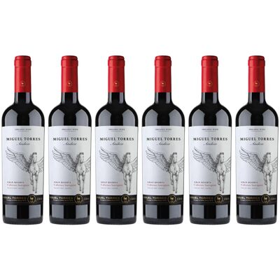 Miguel Torres Chile Miguel torres andica cabernet sauvignon 6x0.75 L, 2023 Miguel Torres Chile Miguel torres andica cabernet sauvignon 6x0.75 L, 2023