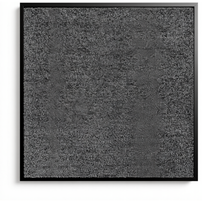 VIDAXL Waschbare Fußmatte 40x60 cm Anthrazit VIDAXL Waschbare Fußmatte 40x60 cm Anthrazit