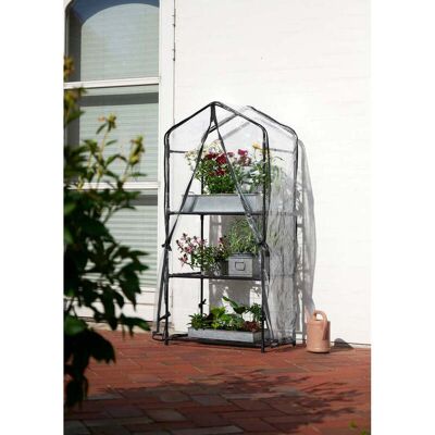 GROUW Transparentes Gewächshaus (59 x 39 x 126 cm) GROUW Transparentes Gewächshaus (59 x 39 x 126 cm)
