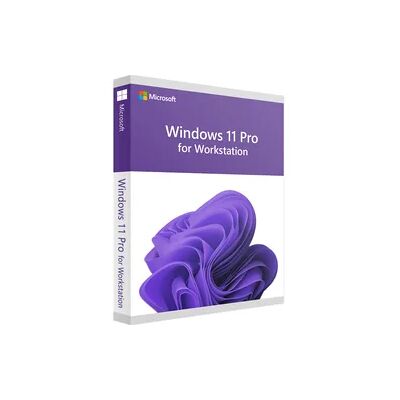 Microsoft Windows 11 Professional für Workstation Microsoft Windows 11 Professional für Workstation