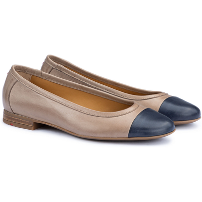 LLOYD Damen DAMEN SOFTA BRAUN Ballerina Braun in 36 F 1/2 Glattleder Festlich Freizeit LLOYD Damen DAMEN SOFTA BRAUN Ballerina Braun in 36 F 1/2 Glattleder Festlich Freizeit