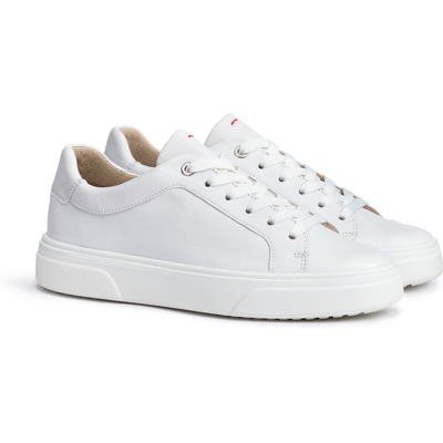 LLOYD Damen DAMEN SNEAKER WEISS Low Top Sneaker Sneakers Weiss in 36 F 1/2 Glattleder Freizeit Business LLOYD Damen DAMEN SNEAKER WEISS Low Top Sneaker Sneakers Weiss in 36 F 1/2 Glattleder Freizeit Business