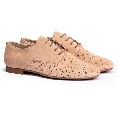 LLOYD Damen DAMEN HARMONY BRAUN Derby Schuhe Schnürschuhe Braun in 39 F 1/2 Rauleder Gelochtes Leder Freizeit Business LLOYD Damen DAMEN HARMONY BRAUN Derby Schuhe Schnürschuhe Braun in 39 F 1/2 Rauleder Gelochtes Leder Freizeit Business