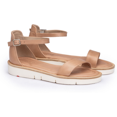 LLOYD Damen DAMEN PETAL BRAUN Sandalen Braun in 36 F 1/2 Glattleder Freizeit LLOYD Damen DAMEN PETAL BRAUN Sandalen Braun in 36 F 1/2 Glattleder Freizeit